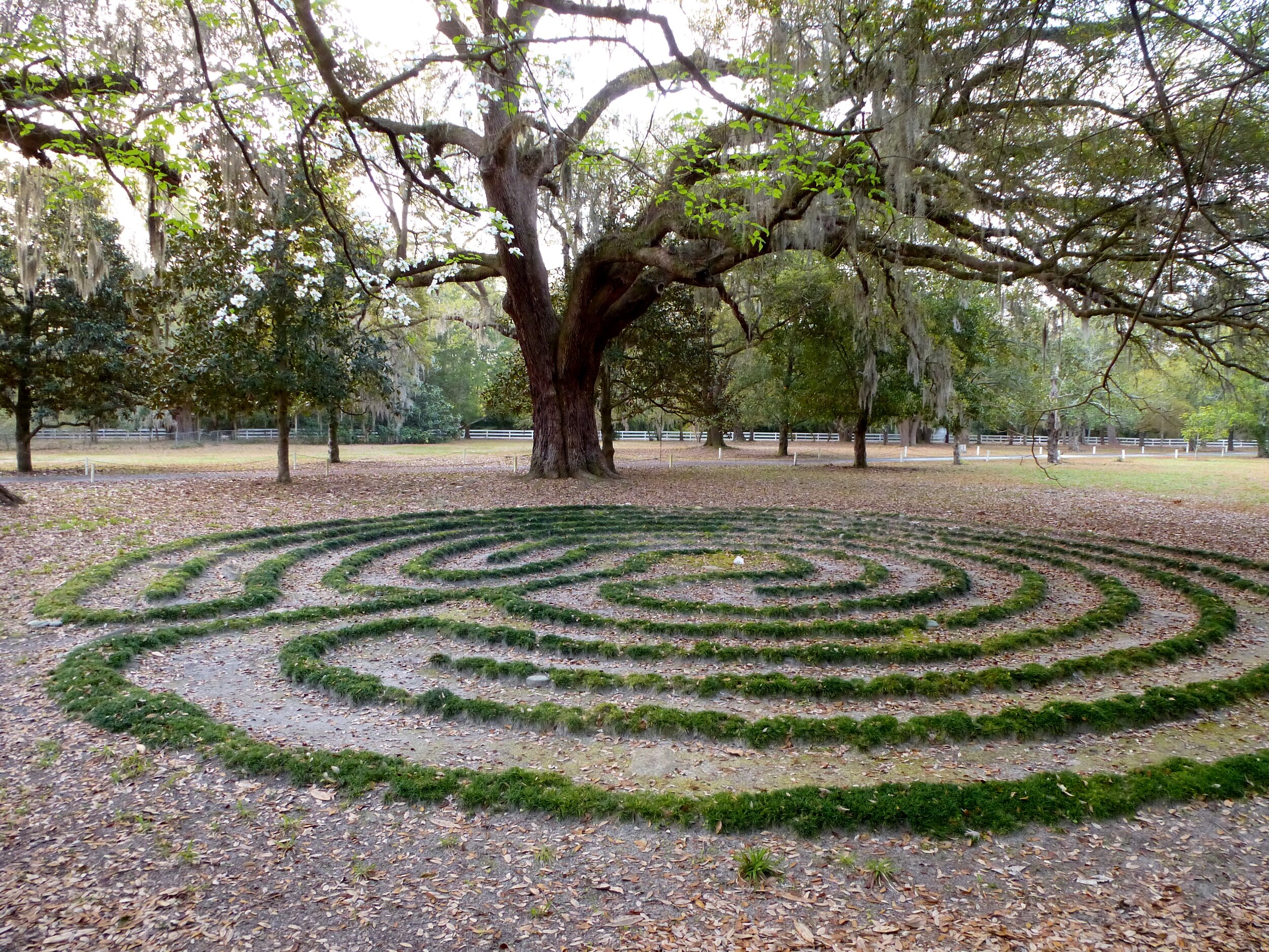 Labyrinth Meditation
