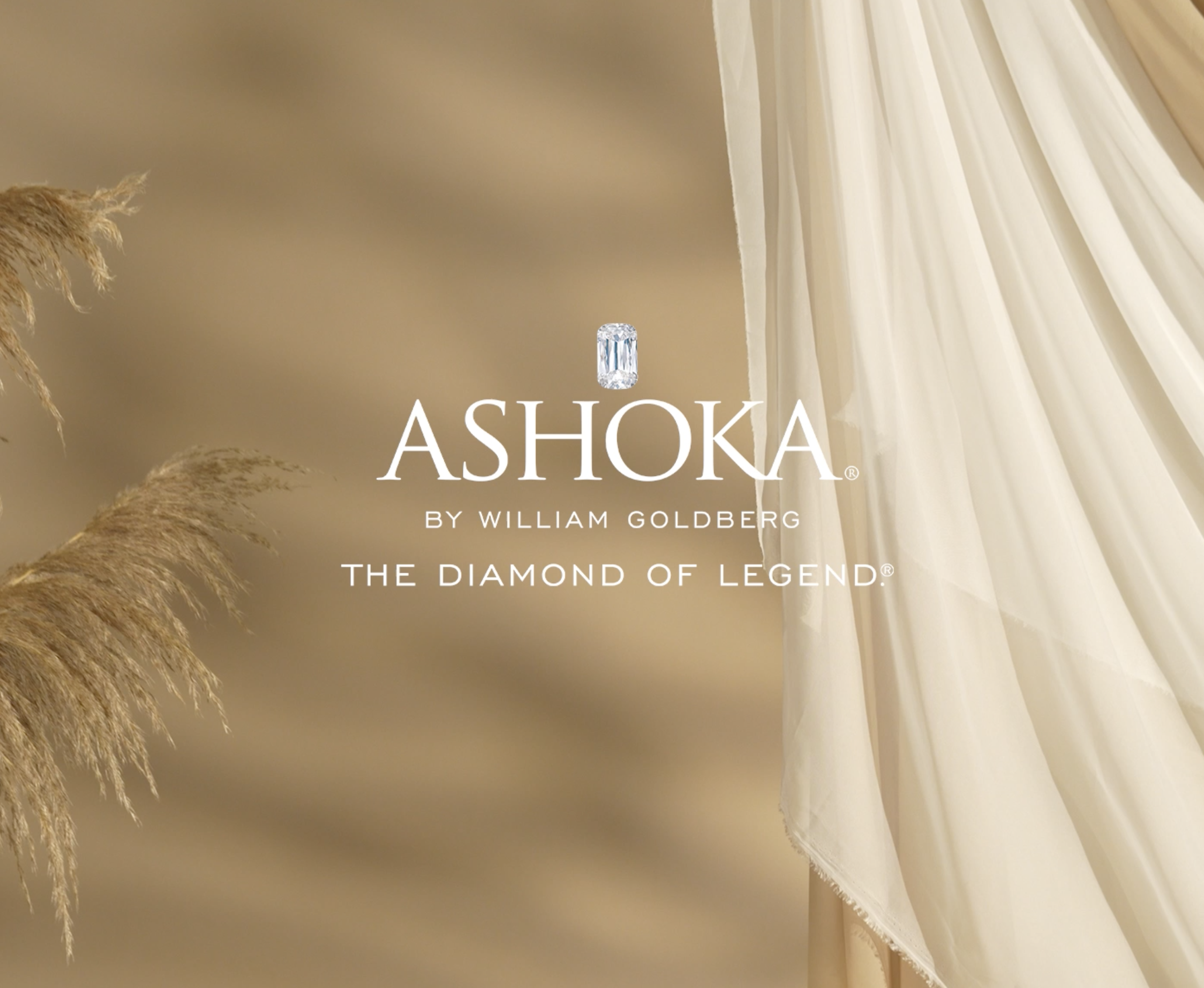 Screenshot 2026-01-30 at 6.17.53 PM.png