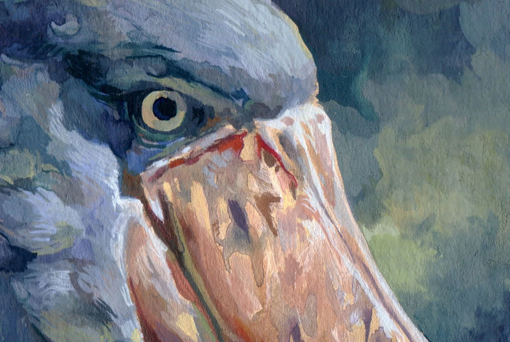 ShoeBilled_Stork_Crop_01.jpg