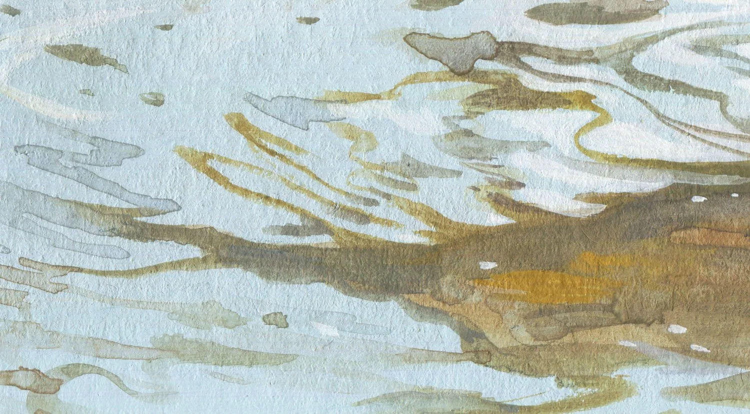Little_heron_detail_02.jpg