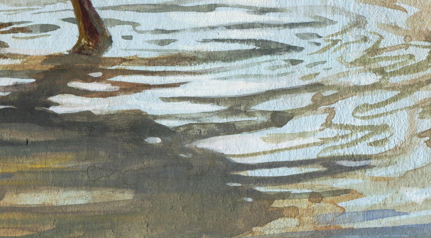 Little_heron_detail_03.jpg