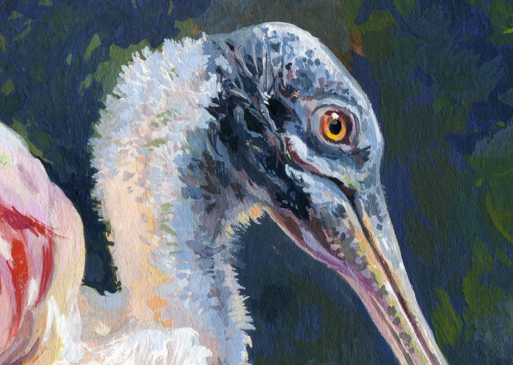 Roseated_spoonbill_detail_01.jpg