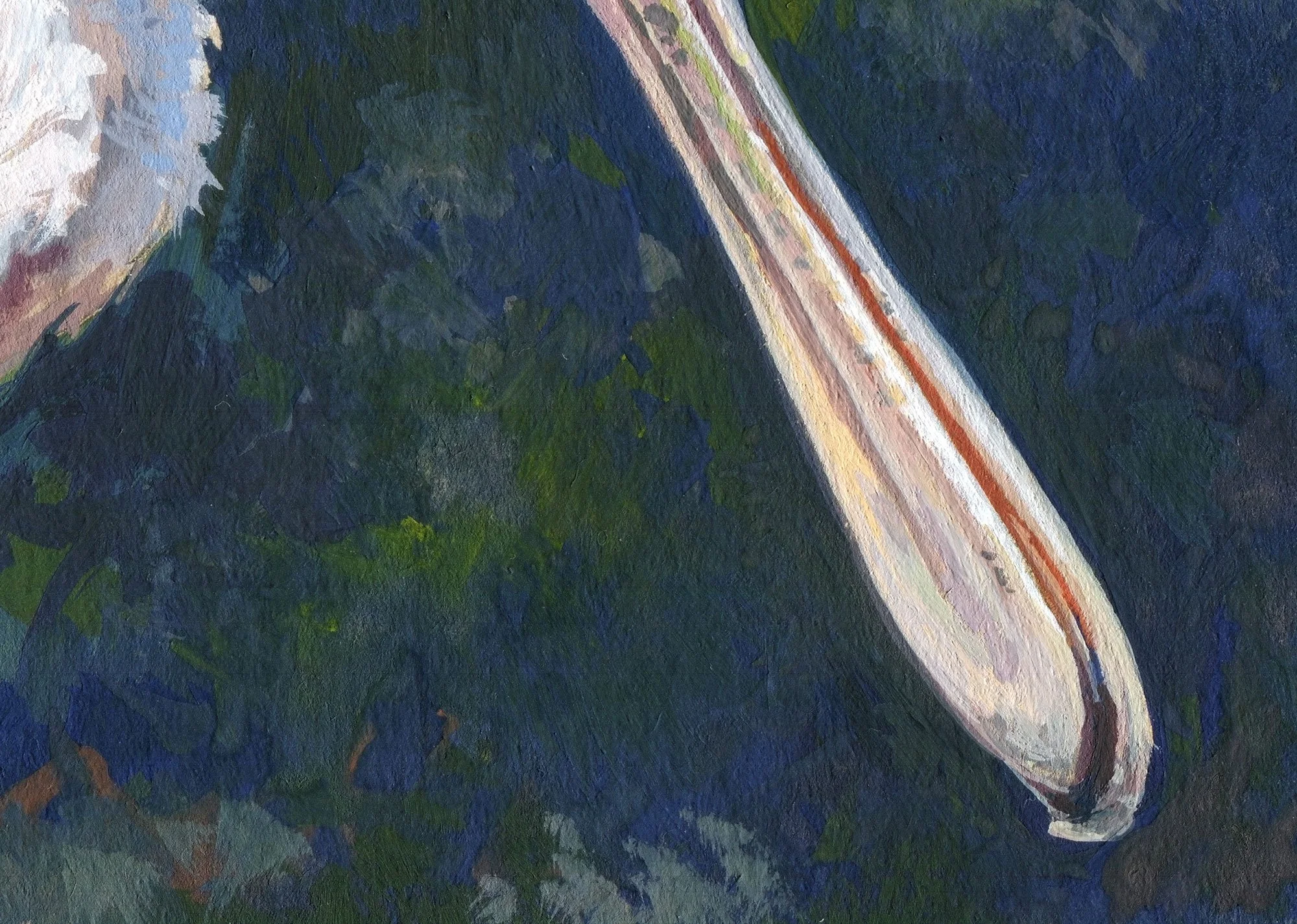 Roseated_spoonbill_detail_02.jpg