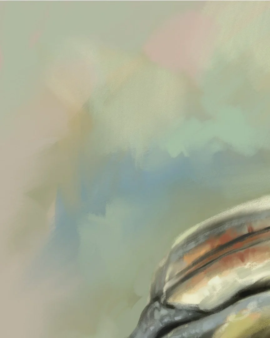 West_African_Pied_Hornbill_1K_detail_06.jpg
