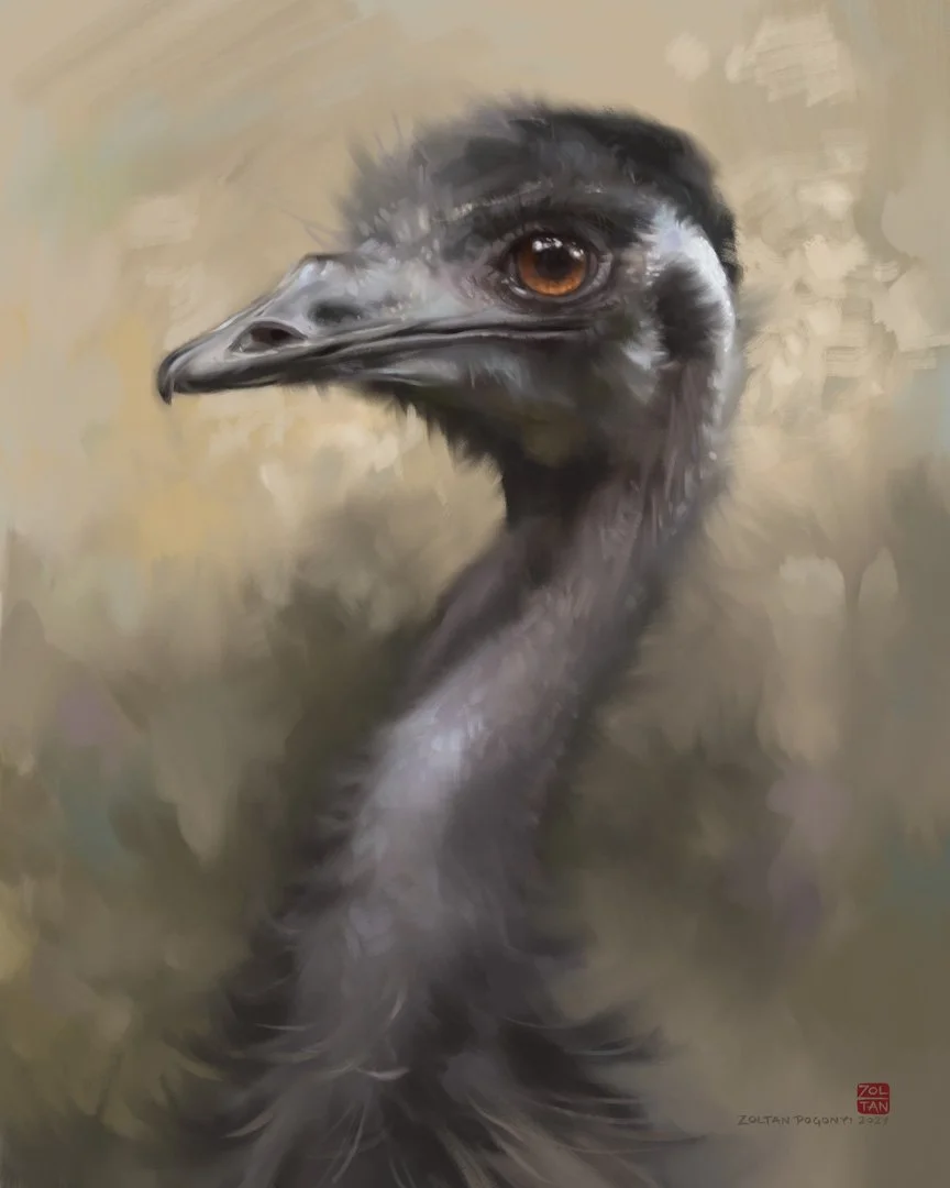 Emu_2_1K.jpg