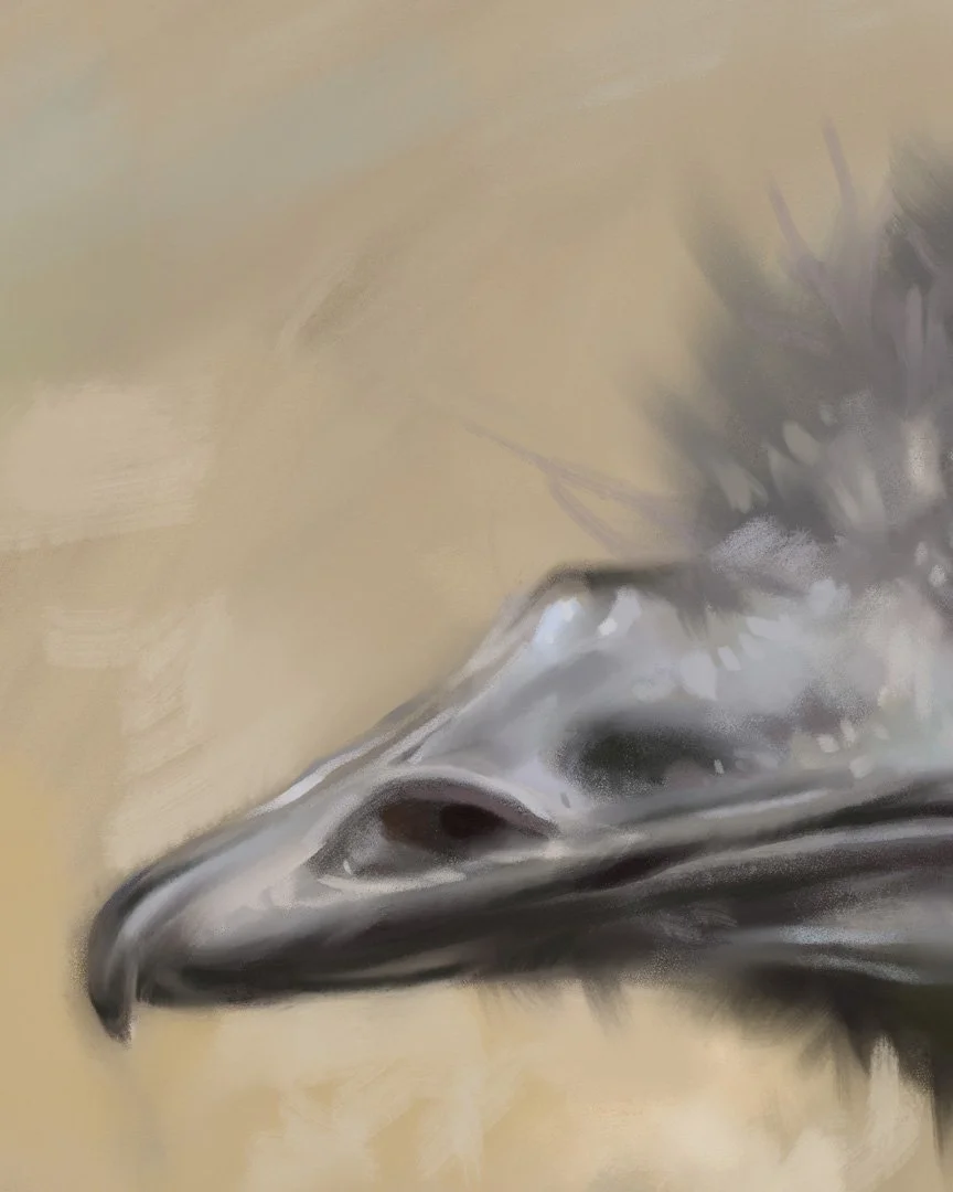 Emu_2_1K_detail_01.jpg