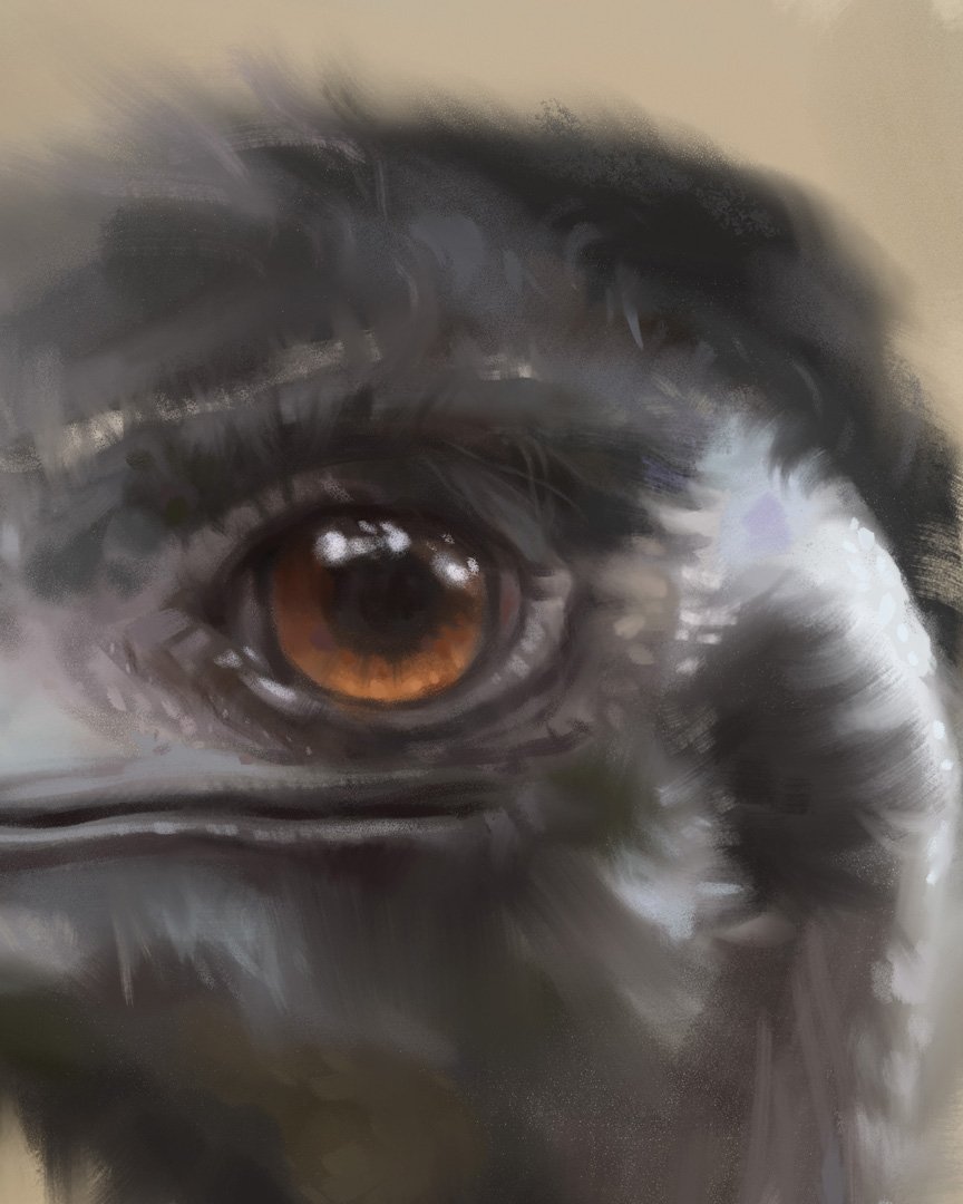 Emu_2_1K_detail_02.jpg