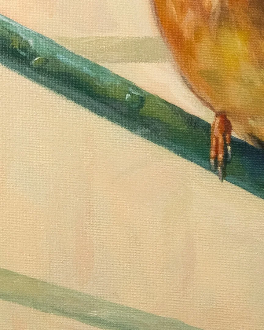 Common_kingfisher_2_1K_detail_02.jpg