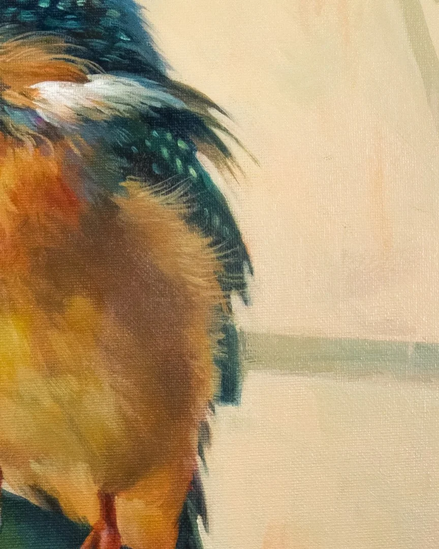 Common_kingfisher_2_1K_detail_03.jpg