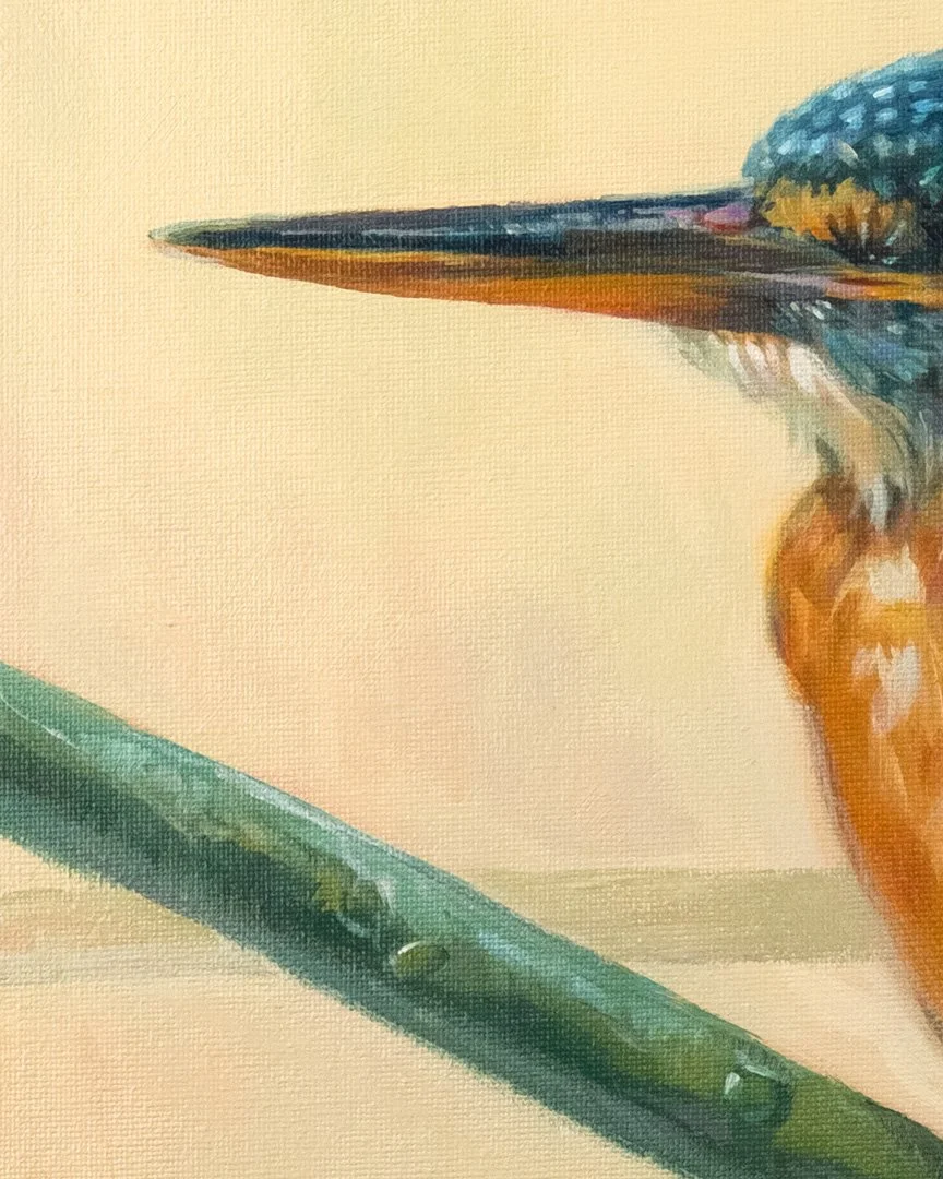 Common_kingfisher_2_1K_detail_04.jpg
