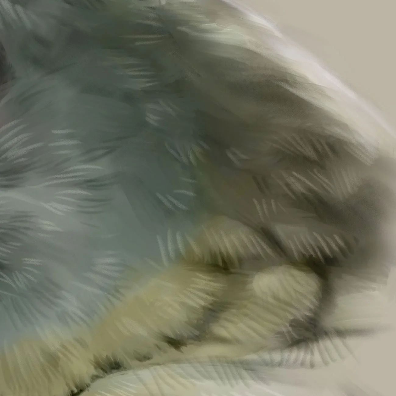 Blue-headed-macaw_detail_03.jpg