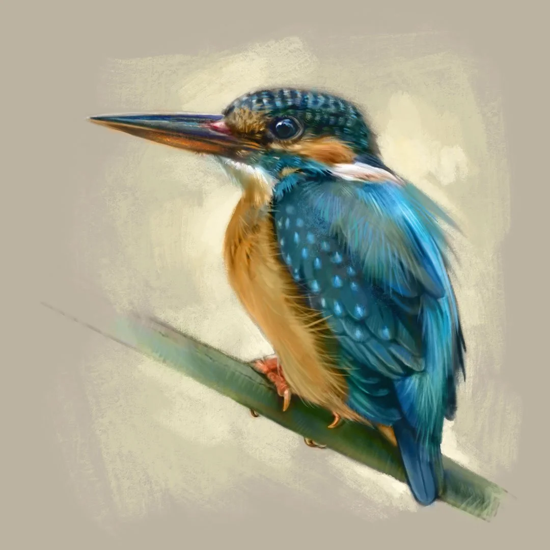 Common_kingfisher_1K.jpg
