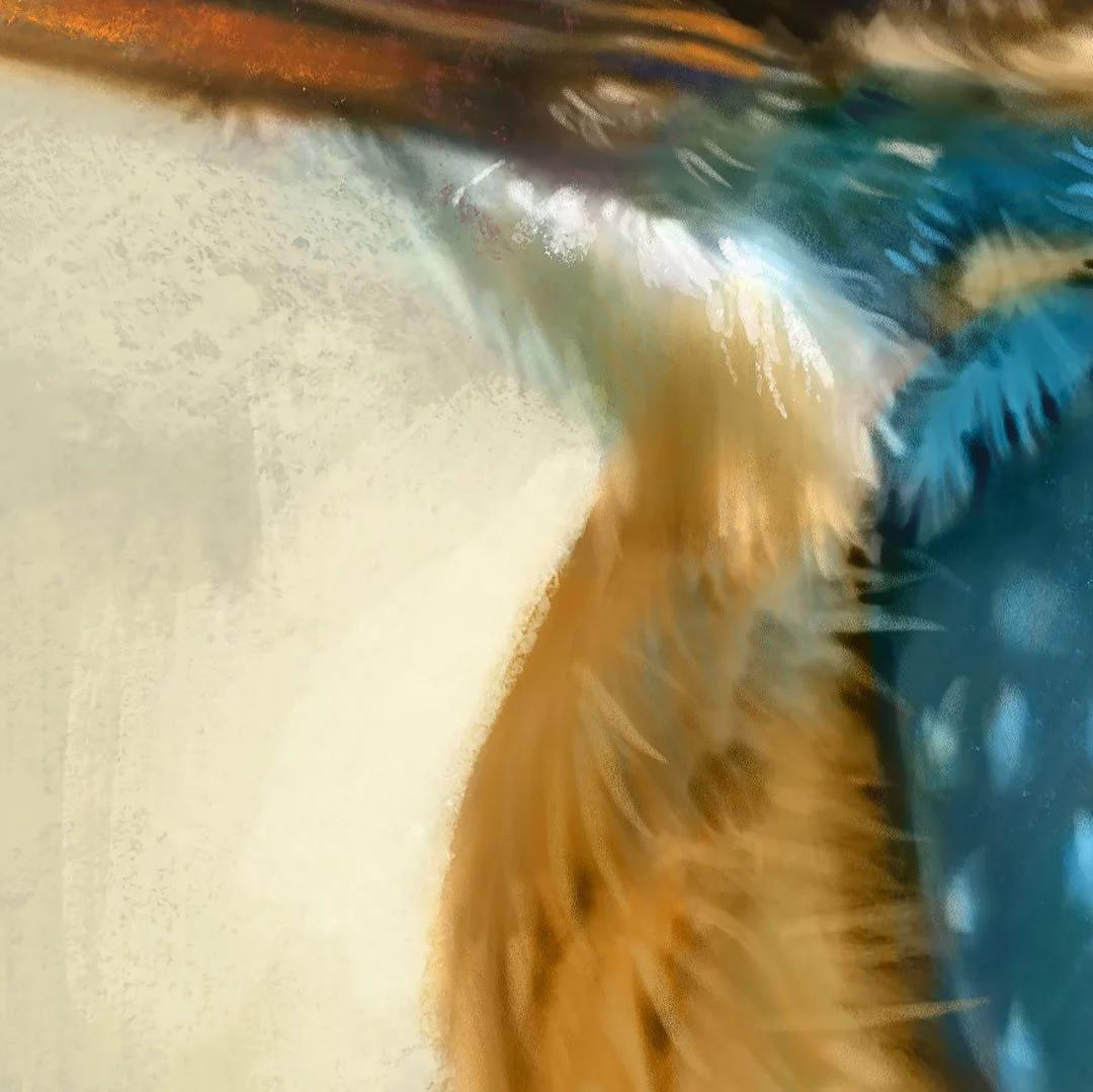 Common_kingfisher_detail_3.jpg