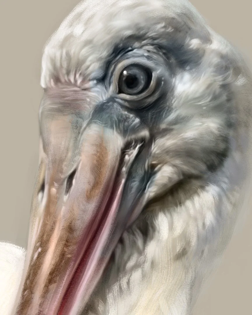 Spoonbill_detail_01.jpg
