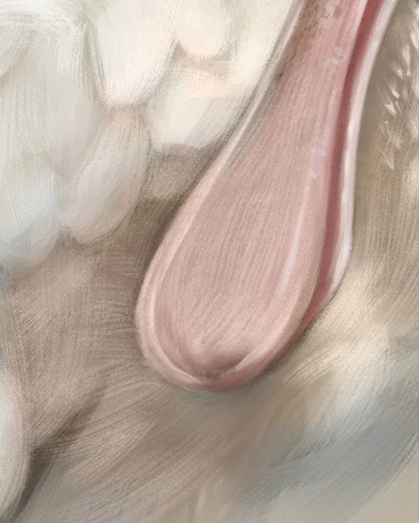 Spoonbill_detail_02.jpg