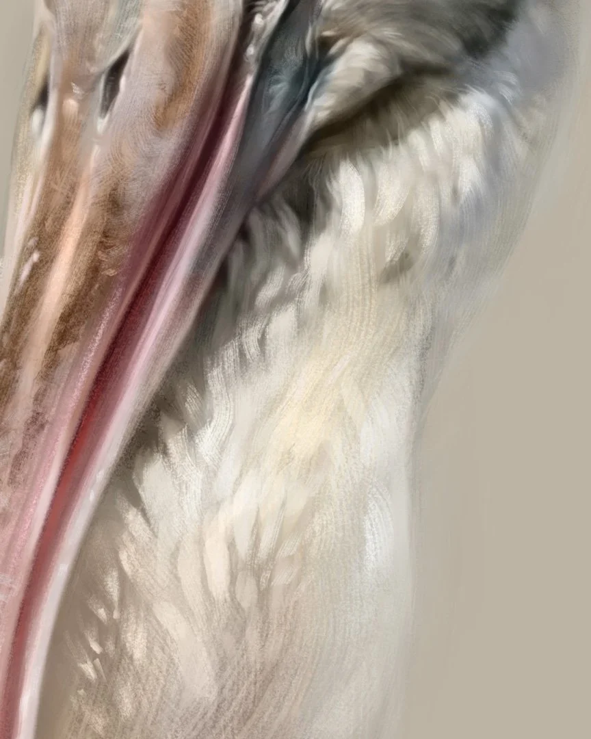 Spoonbill_detail_03.jpg