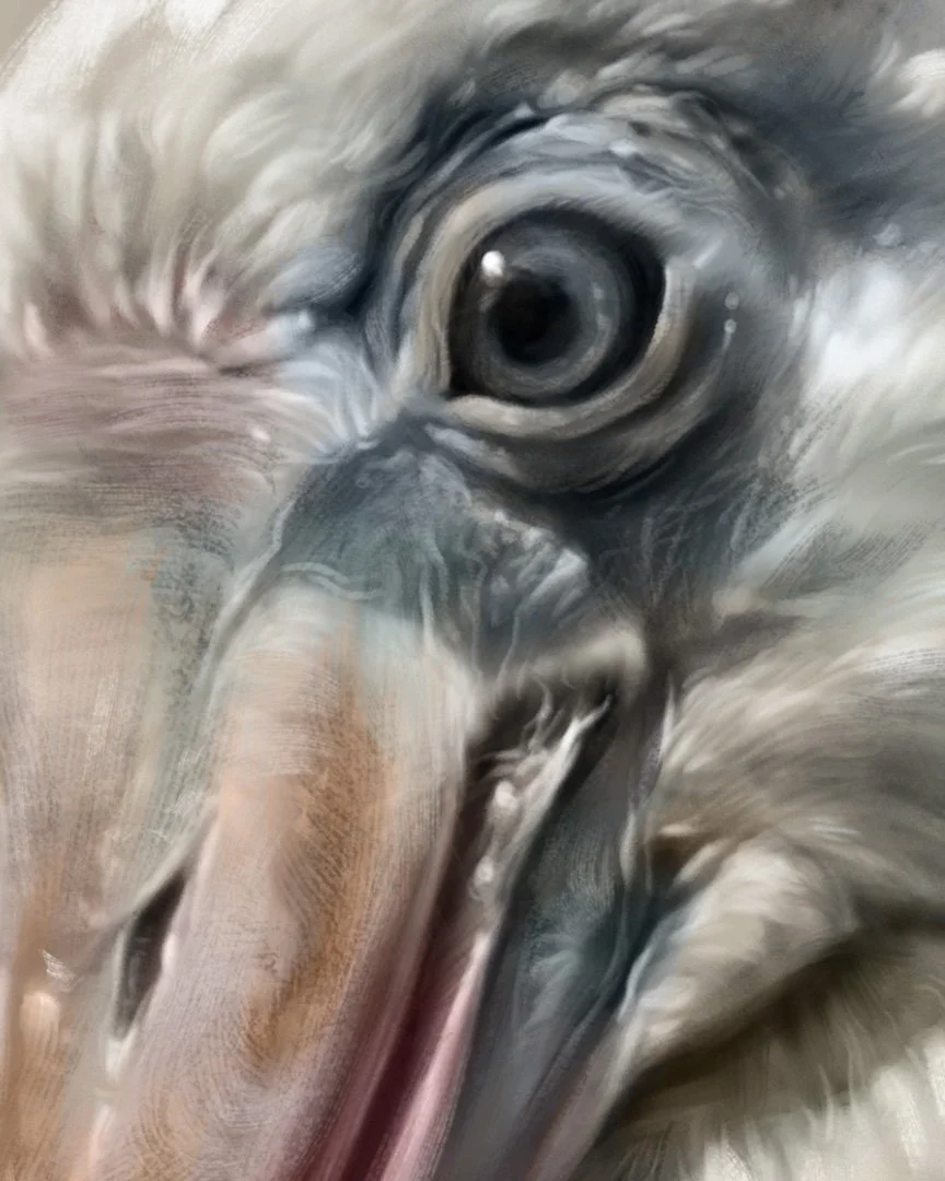 Spoonbill_detail_04.jpg