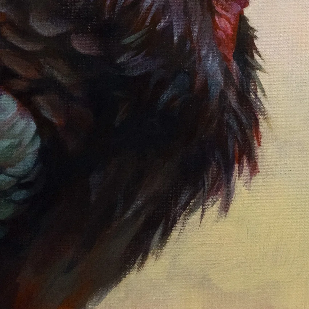 Northern-bald-ibis-03-detail_02.jpg