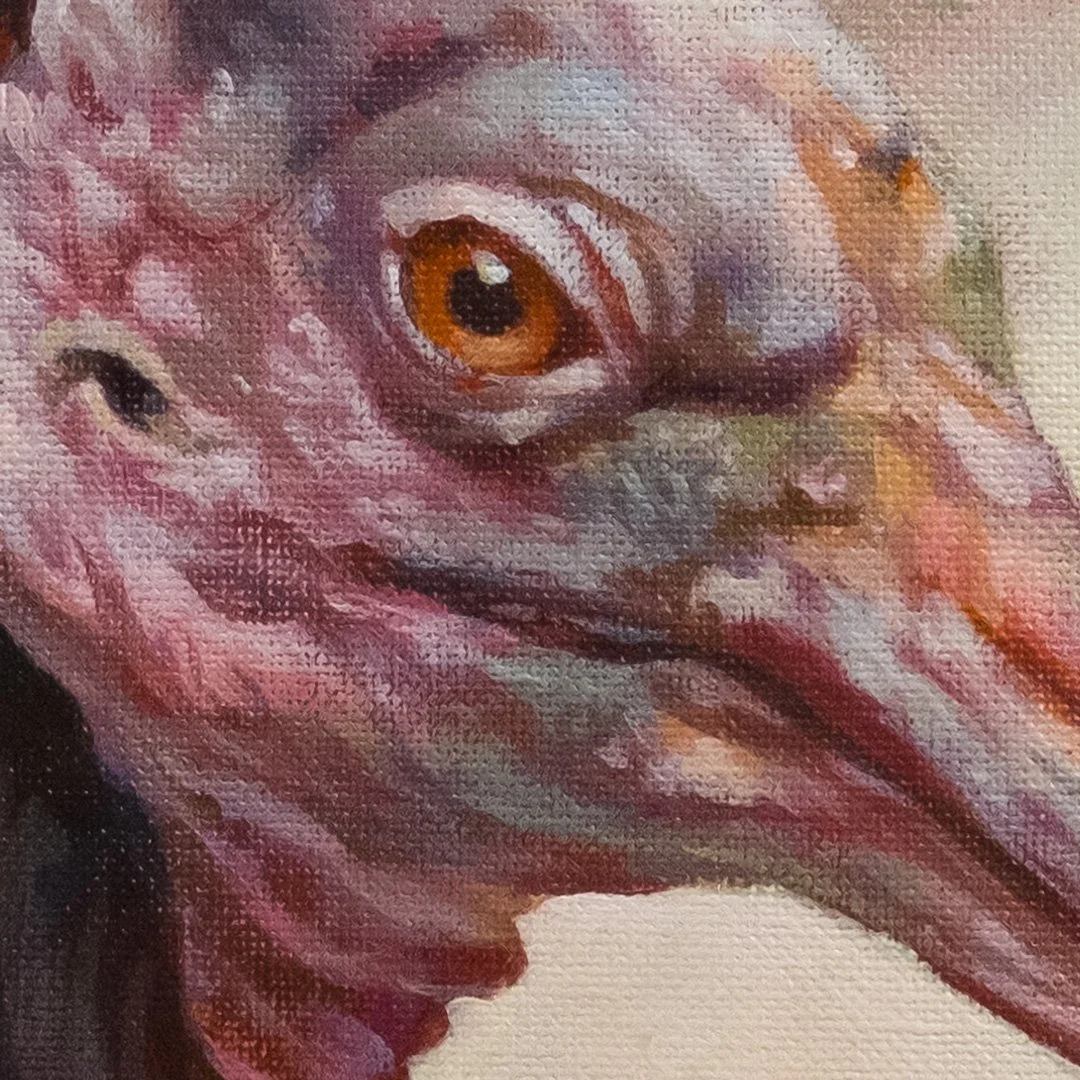 Northern-bald-ibis-03-detail_09.jpg