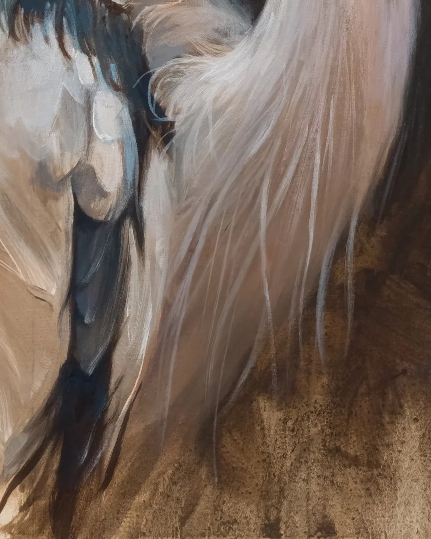 Grey_heron_04_1K_detail_04.jpg