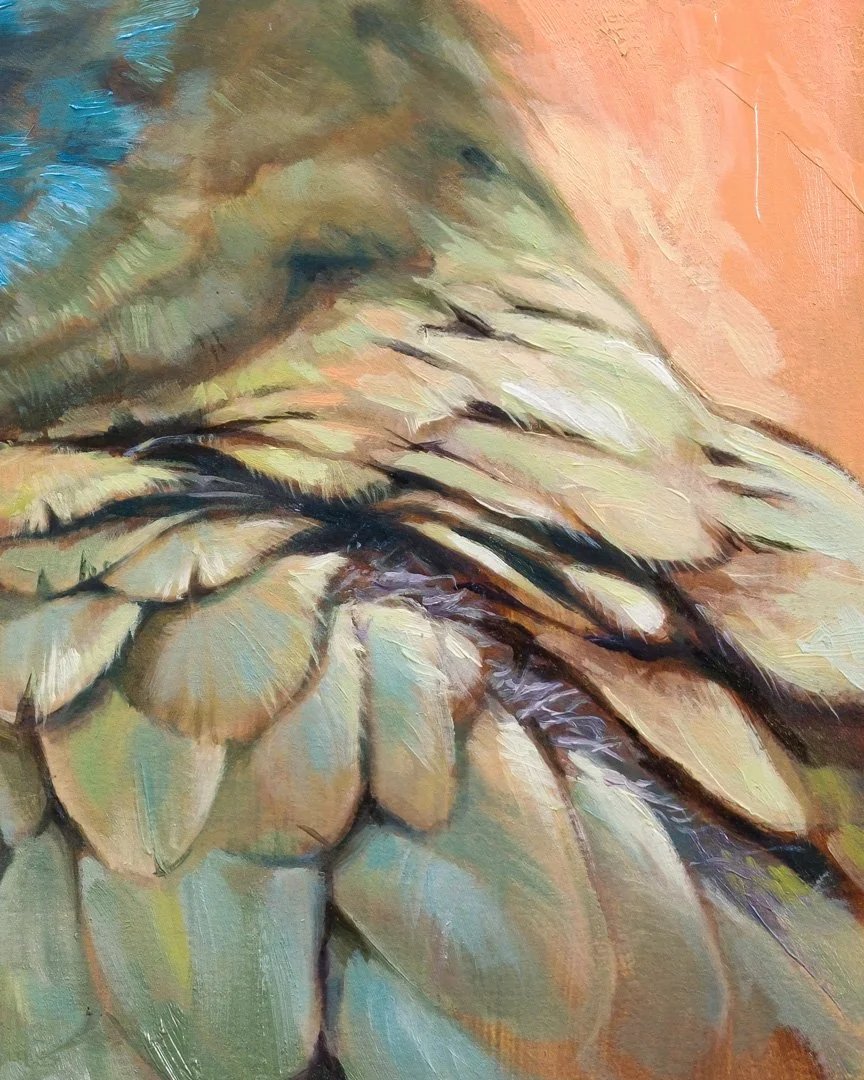 Blue_headed_macaw_1K_detail_02.jpg