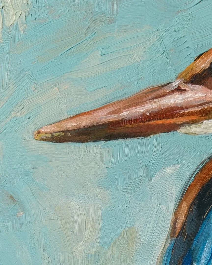 White-throated-kingfisher-1K_detail_01.jpg