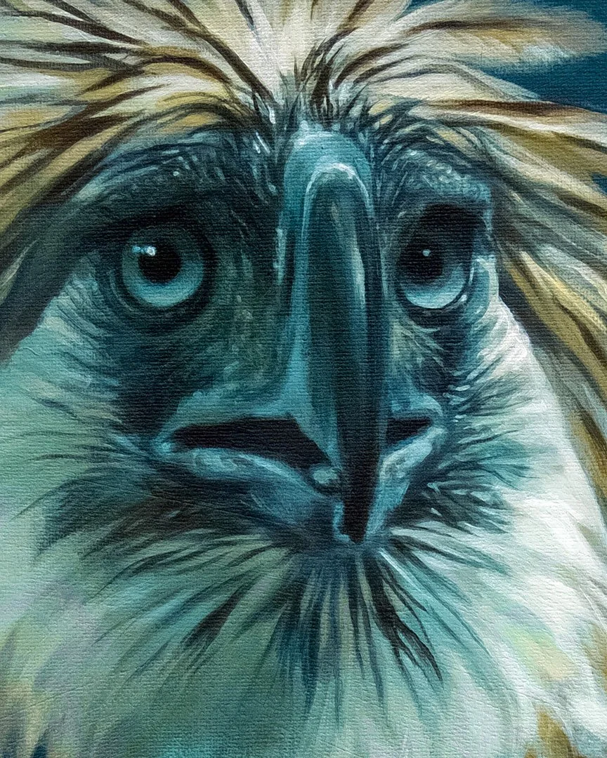 Philippine_eagle_02_02_detail_01.jpg