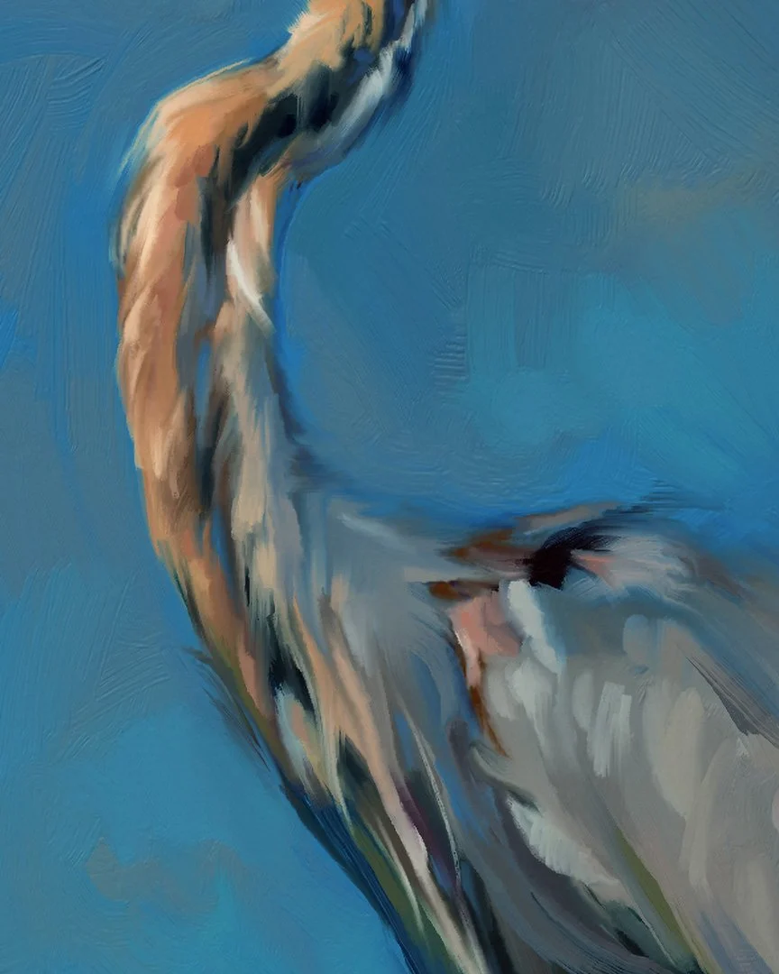 Purple-heron-2-1K-detail_04.jpg