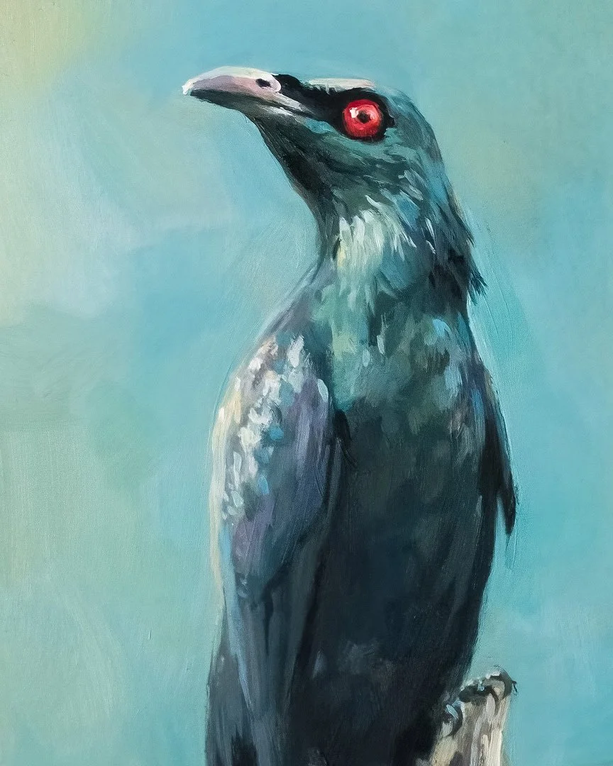 Philippine_glossy_starling_2_1K_detail_01.jpg