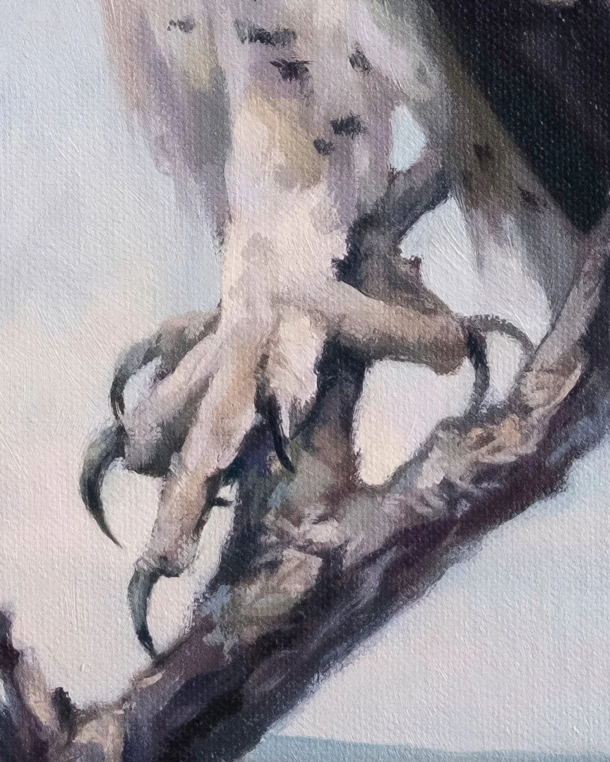 Martial-eagle-detail_02.jpg