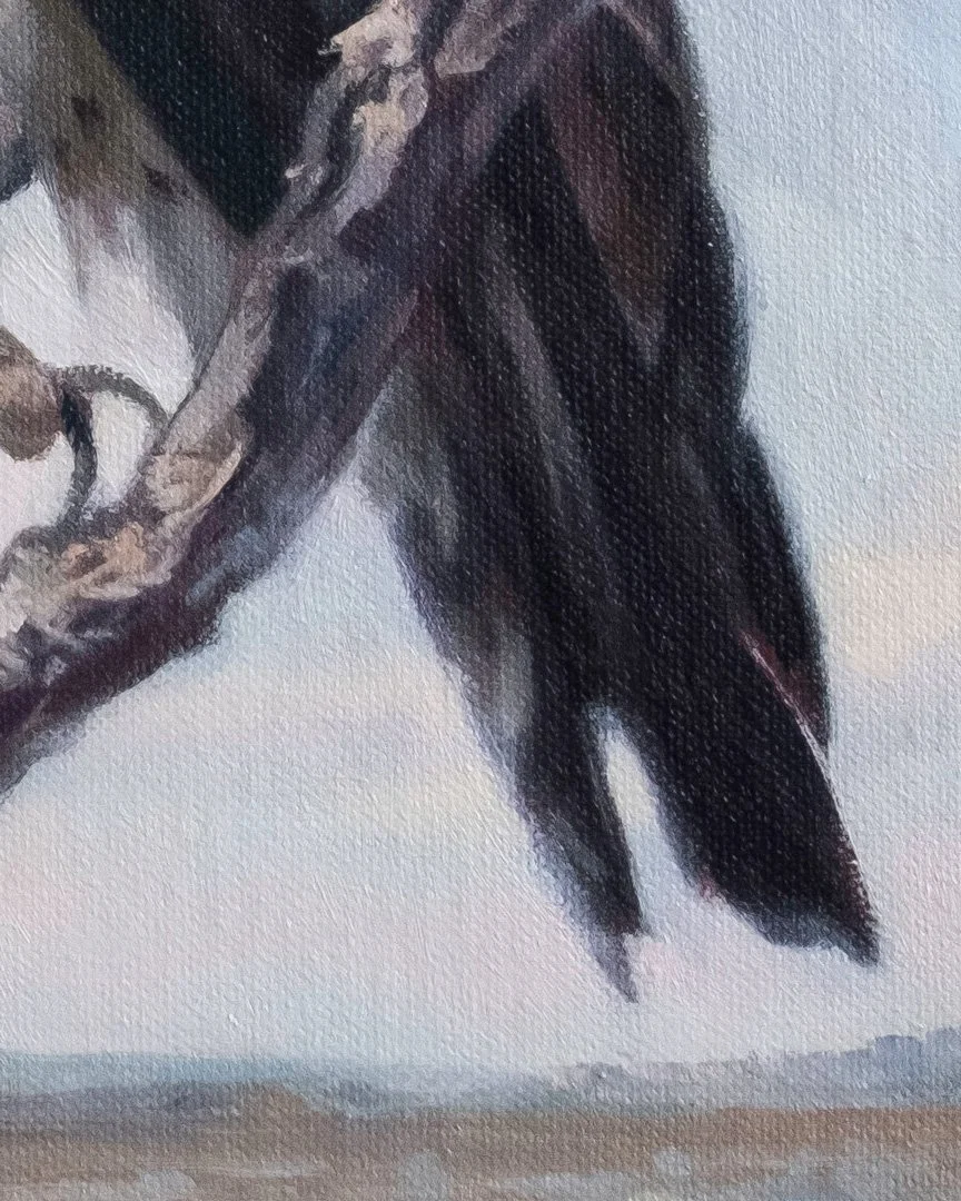 Martial-eagle-detail_03.jpg