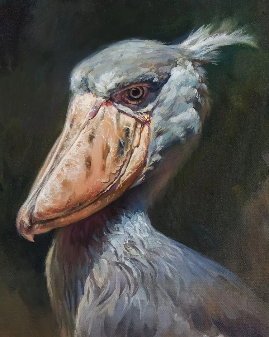 Shoebill_stork_1K_detail_01.jpg