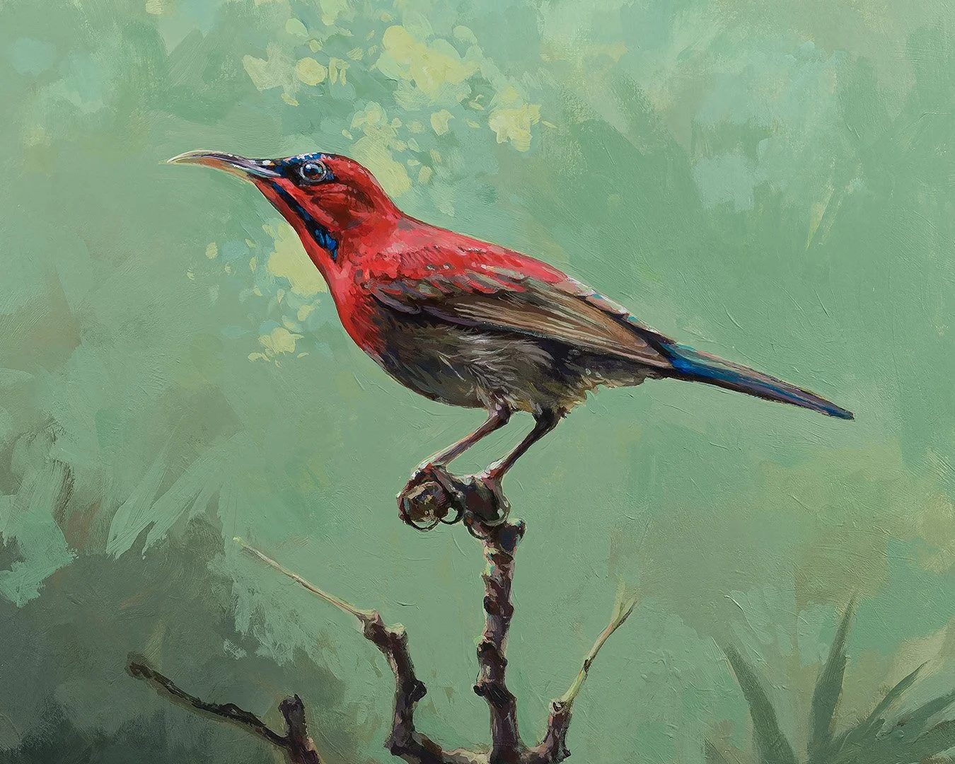 CrimsonSunbird_1_1K.jpg