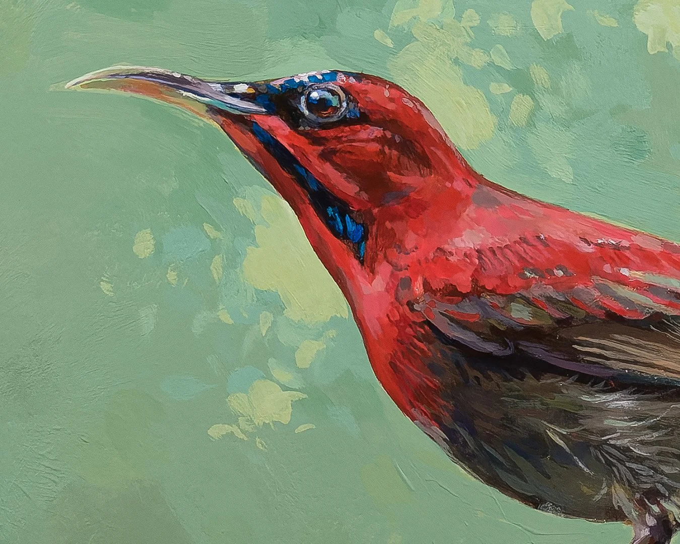 CrimsonSunbird_1_1K_detail_01.jpg