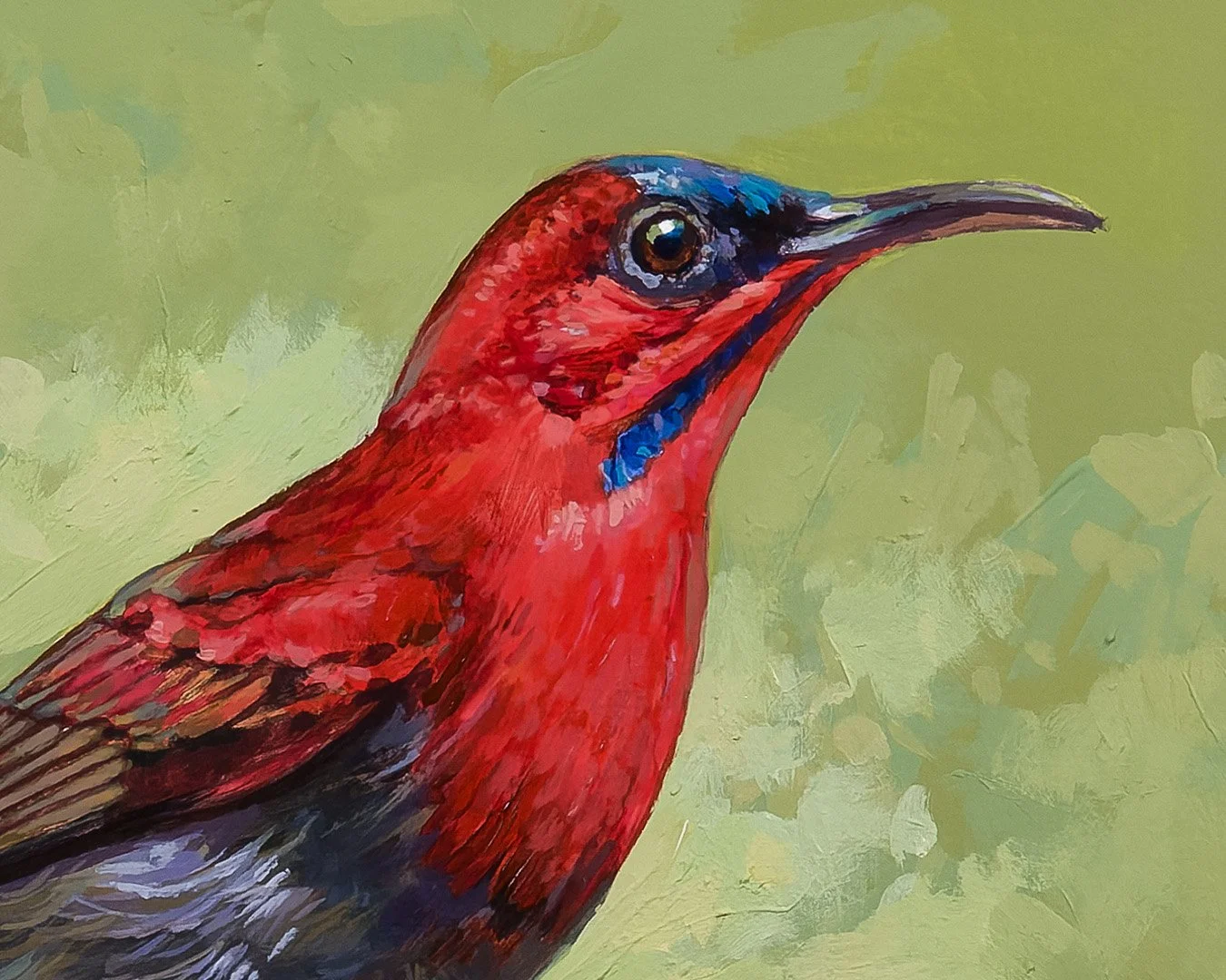 CrimsonSunbird_2_1K_detail_01.jpg