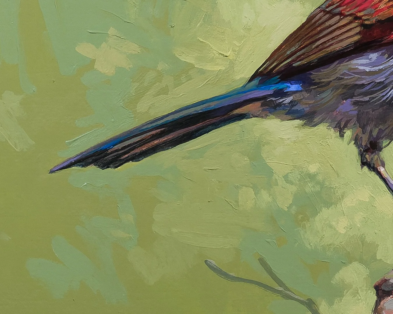 CrimsonSunbird_2_1K_detail_02.jpg