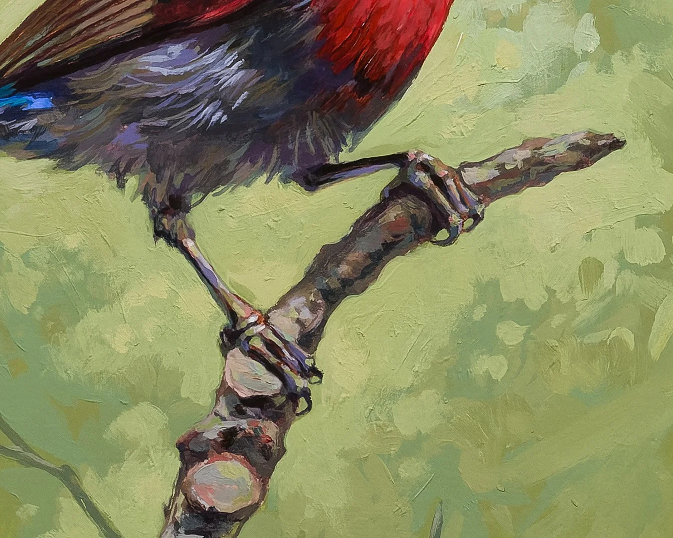 CrimsonSunbird_2_1K_detail_03.jpg
