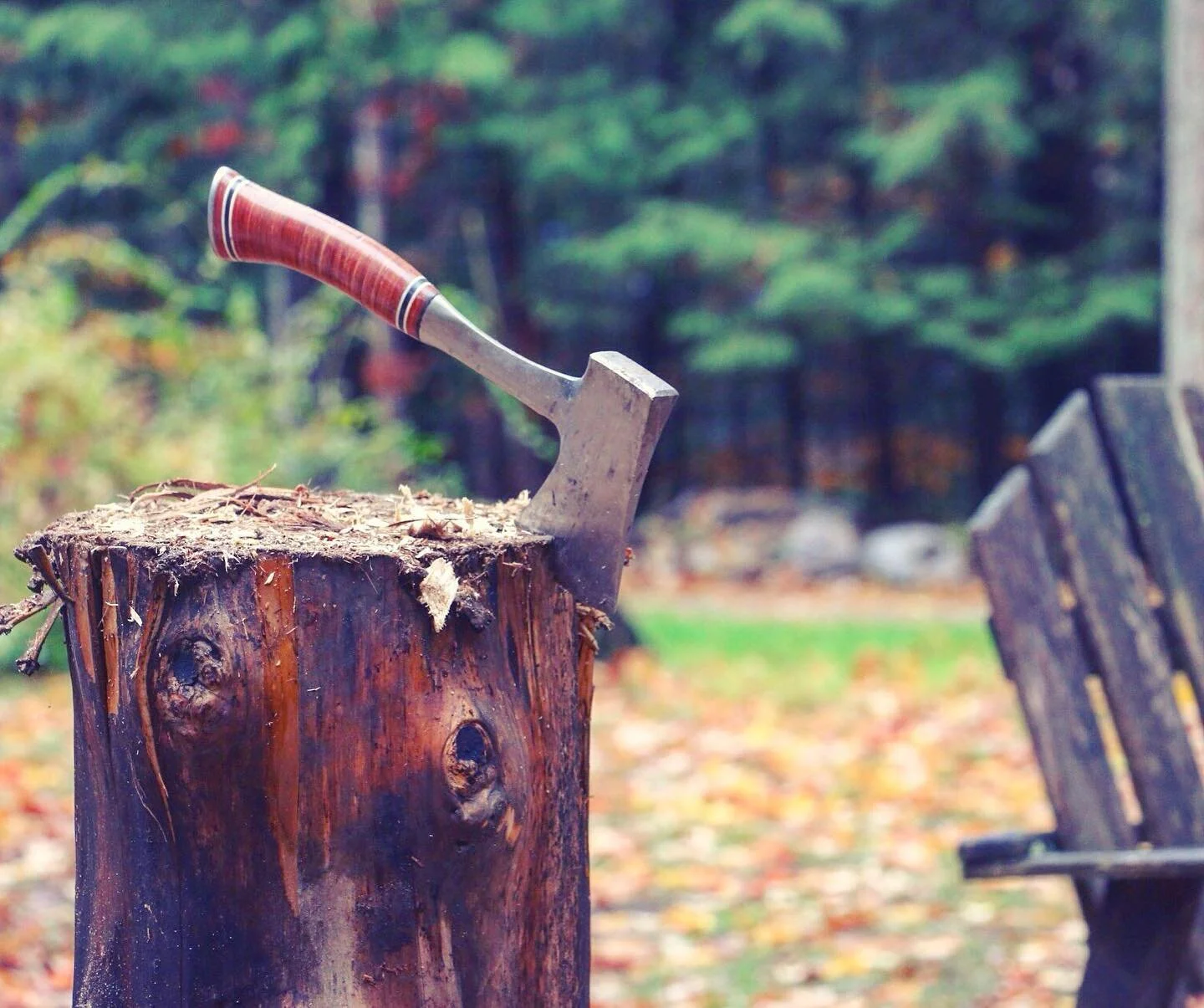 Oh man, anyone get those mid-afternoon cravings to just go somewhere pleasant with your hatchet and find some wood to process?
&mdash;
🌲FOLLOW ME: @howtobushcraft
&mdash;
#HowToBushcraft #Bushcraft #Nature #Camping #Hiking #Outdoorsman #Survivalist 