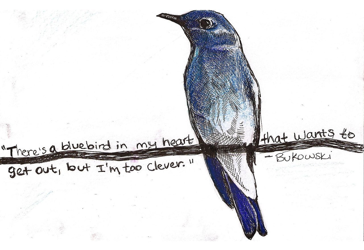day eleven - bluebird