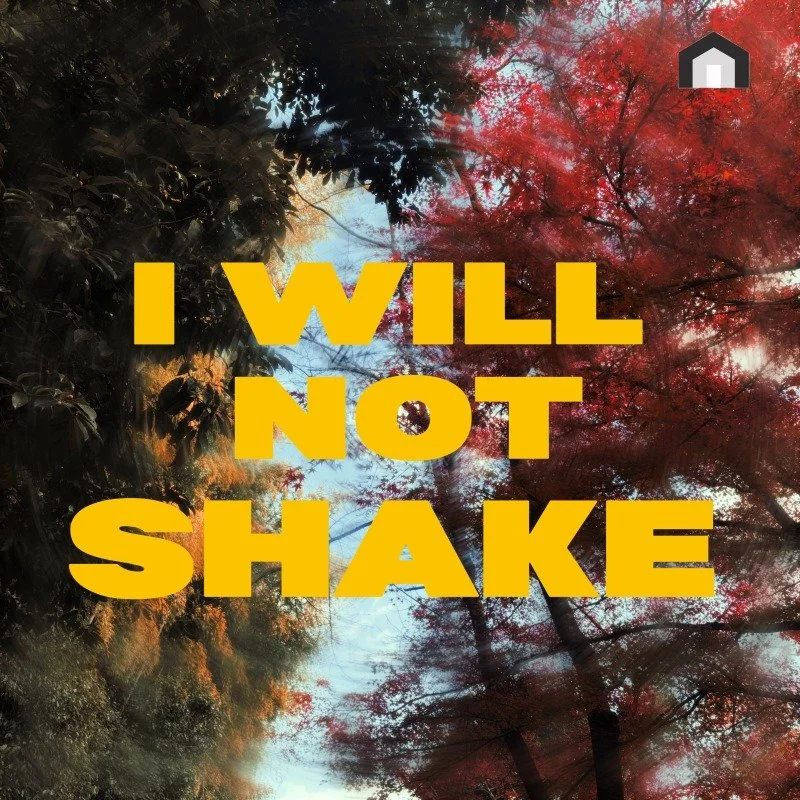 I Will Not Shake