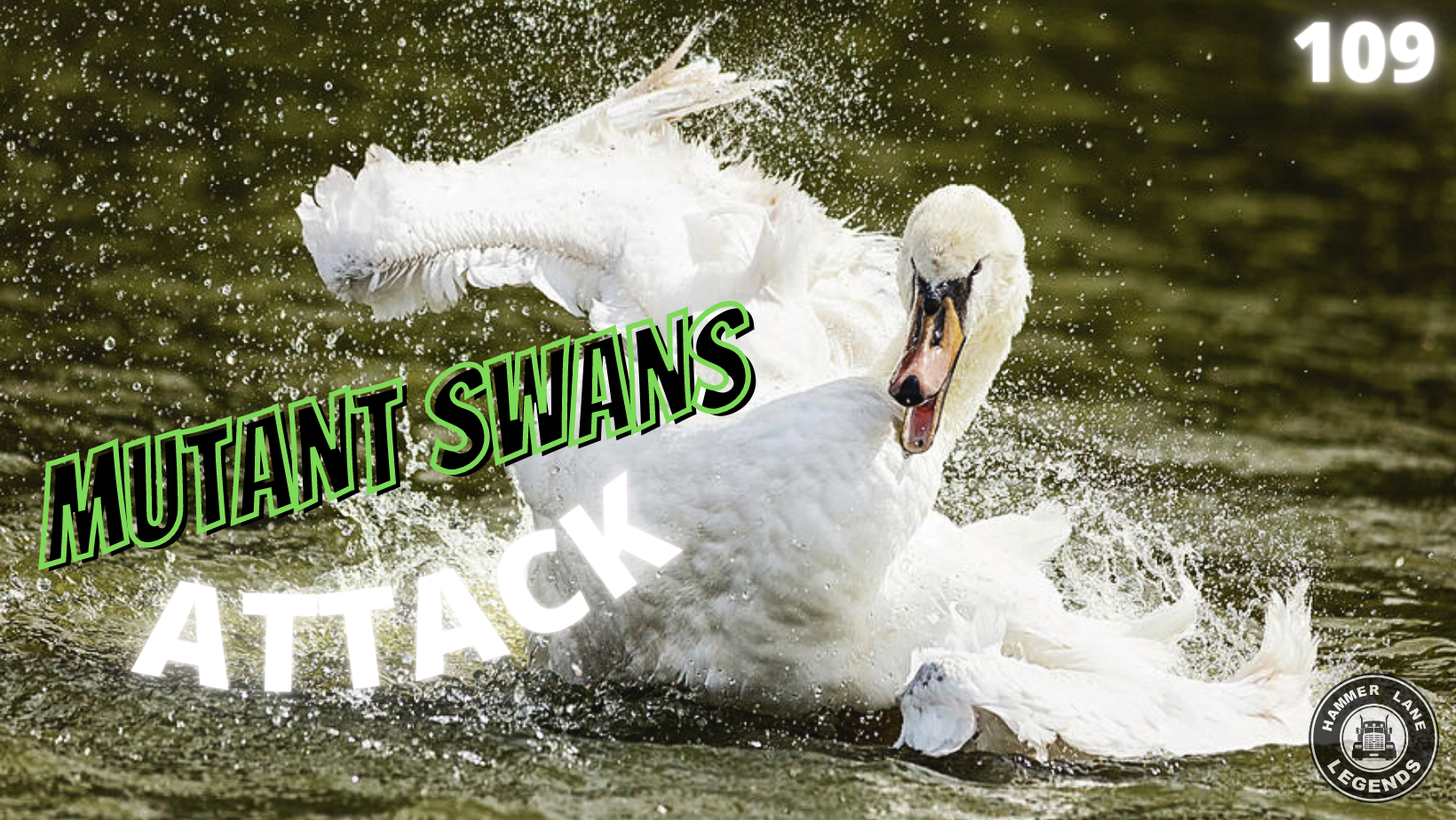 SWANS.png