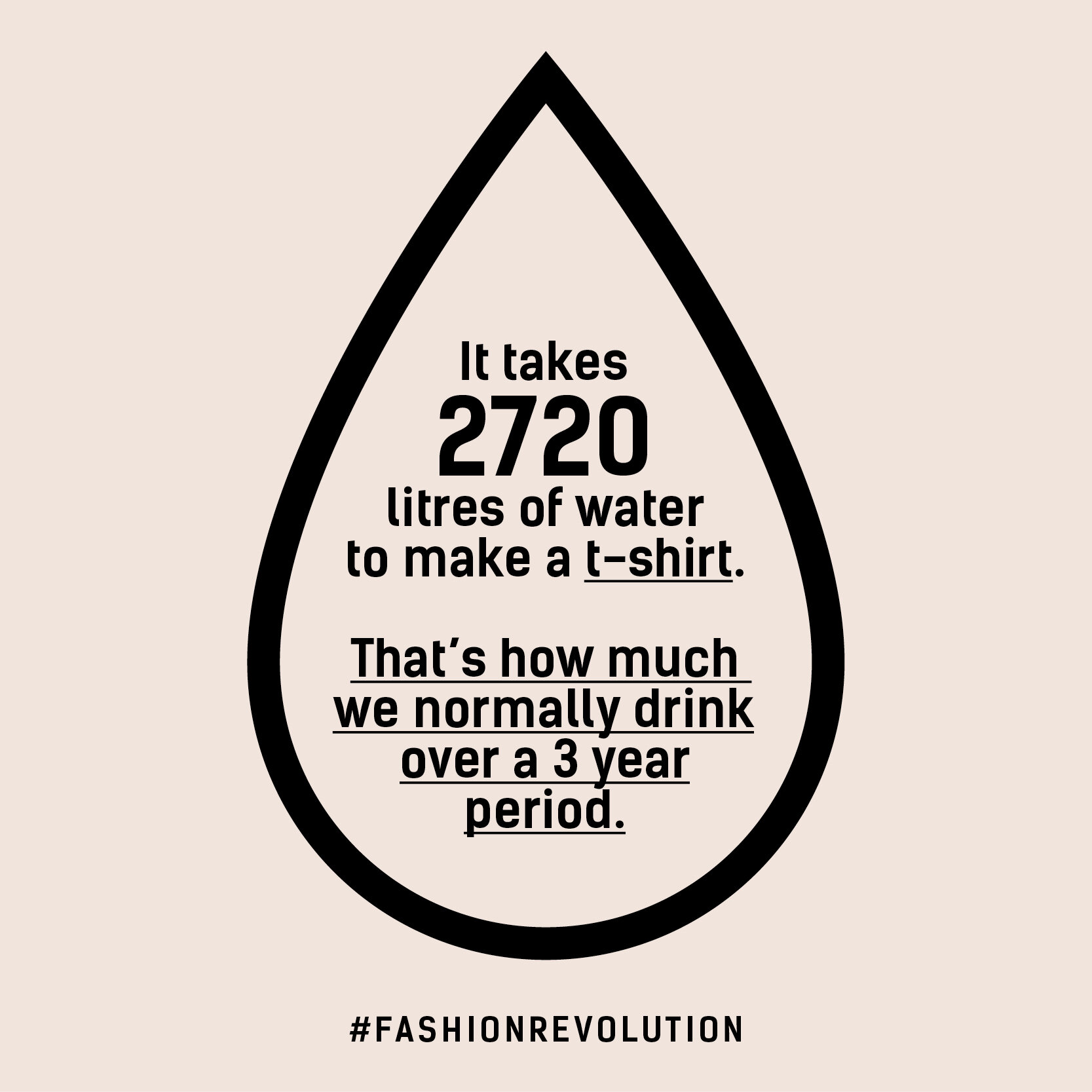 FashRev_assets_stats_2019.jpg