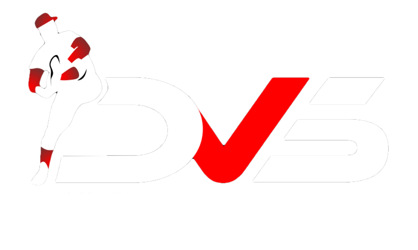 dvs premier