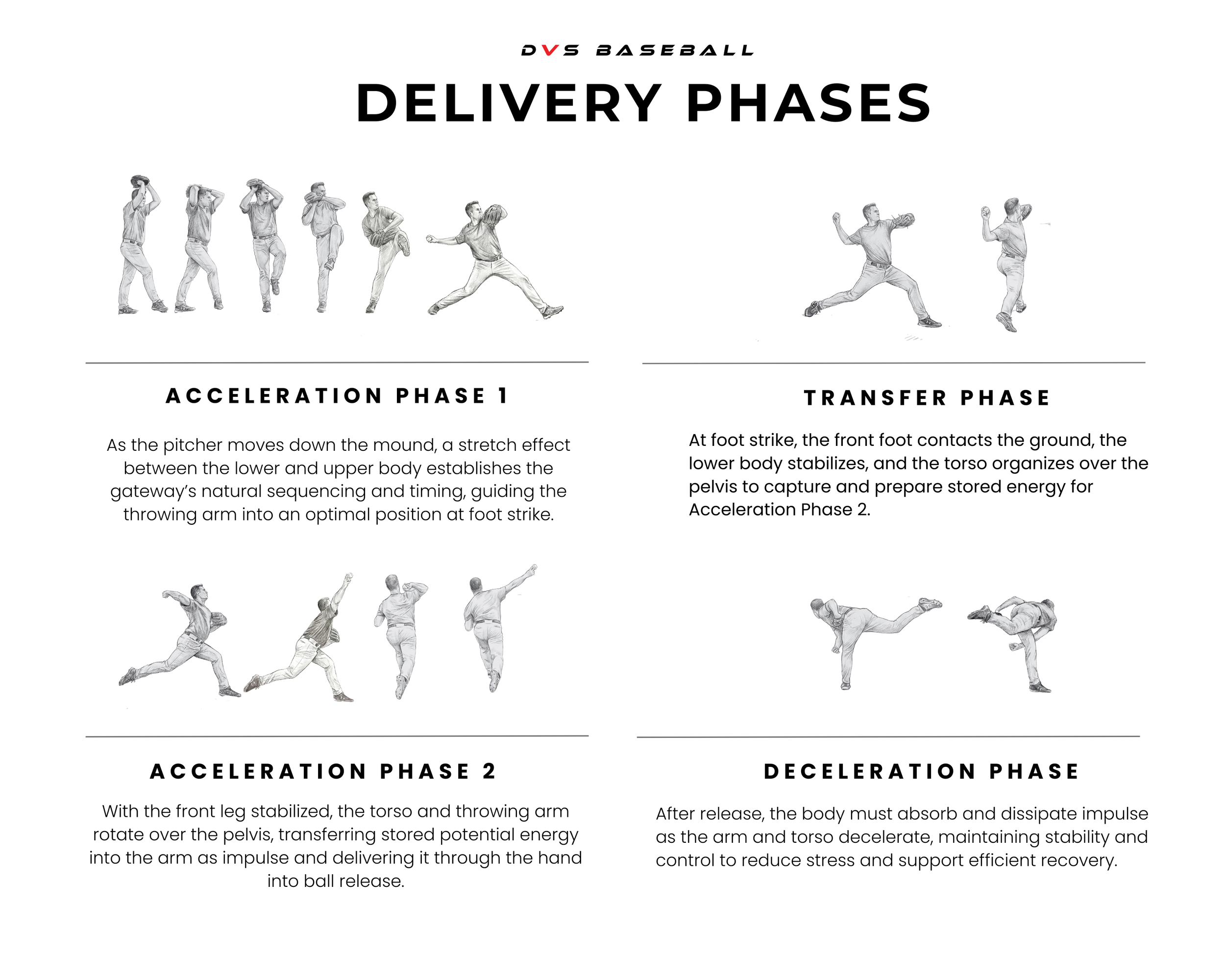 Phases Of Throwing A Baseball