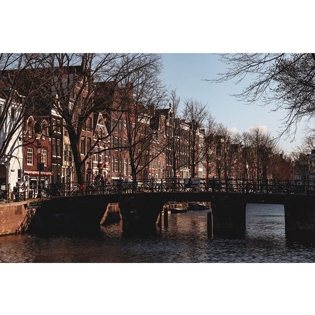 Herengracht, Amsterdam Centre
⠀
The water in the canals of Amsterdam is now cleaner than ever. The vast improvement in the water quality is largely due to the connection of the canal houses and houseboats to the sewers, and also because a smaller vol