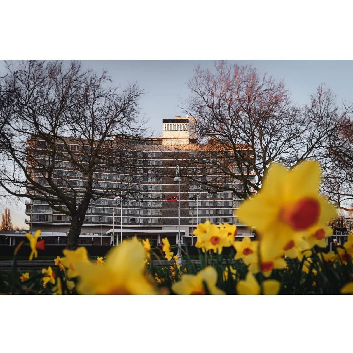 Hilton Amsterdam, Amsterdam-Zuid
⠀
The Hilton Hotel on the Apollolaan in Amsterdam South was built in 1958 by the architect H.A. Maaskant designed in collaboration with Architectenbureau De Vlaming and Salm.
⠀
The hotel is built in a V-shape, to emph