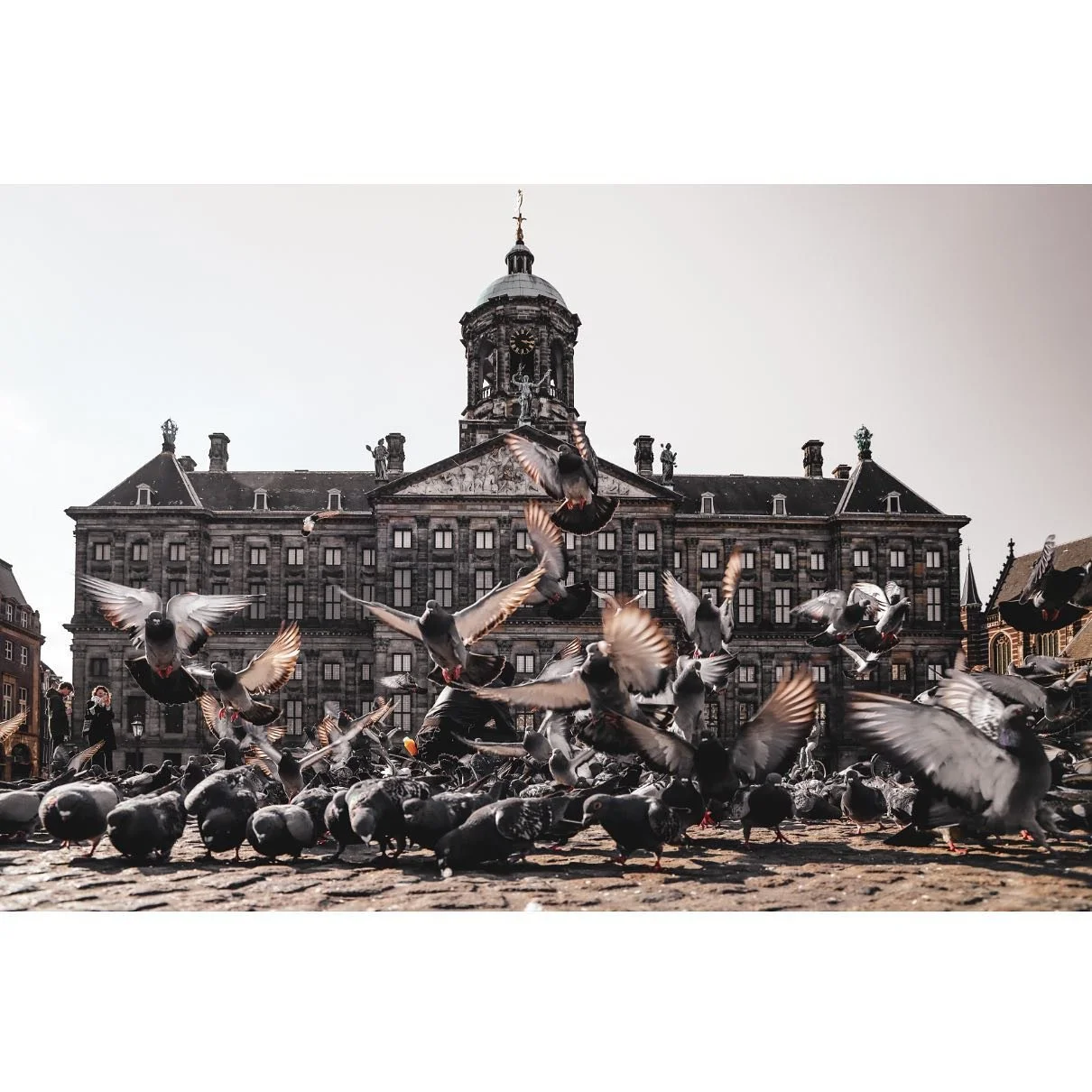 De Dam, Amsterdam
⠀
The Dam derives its name from its original function: a dam on the Amstel River, hence also the name of the city. Built in approximately 1270, the dam formed the first connection between the settlements on the sides of the river.
⠀