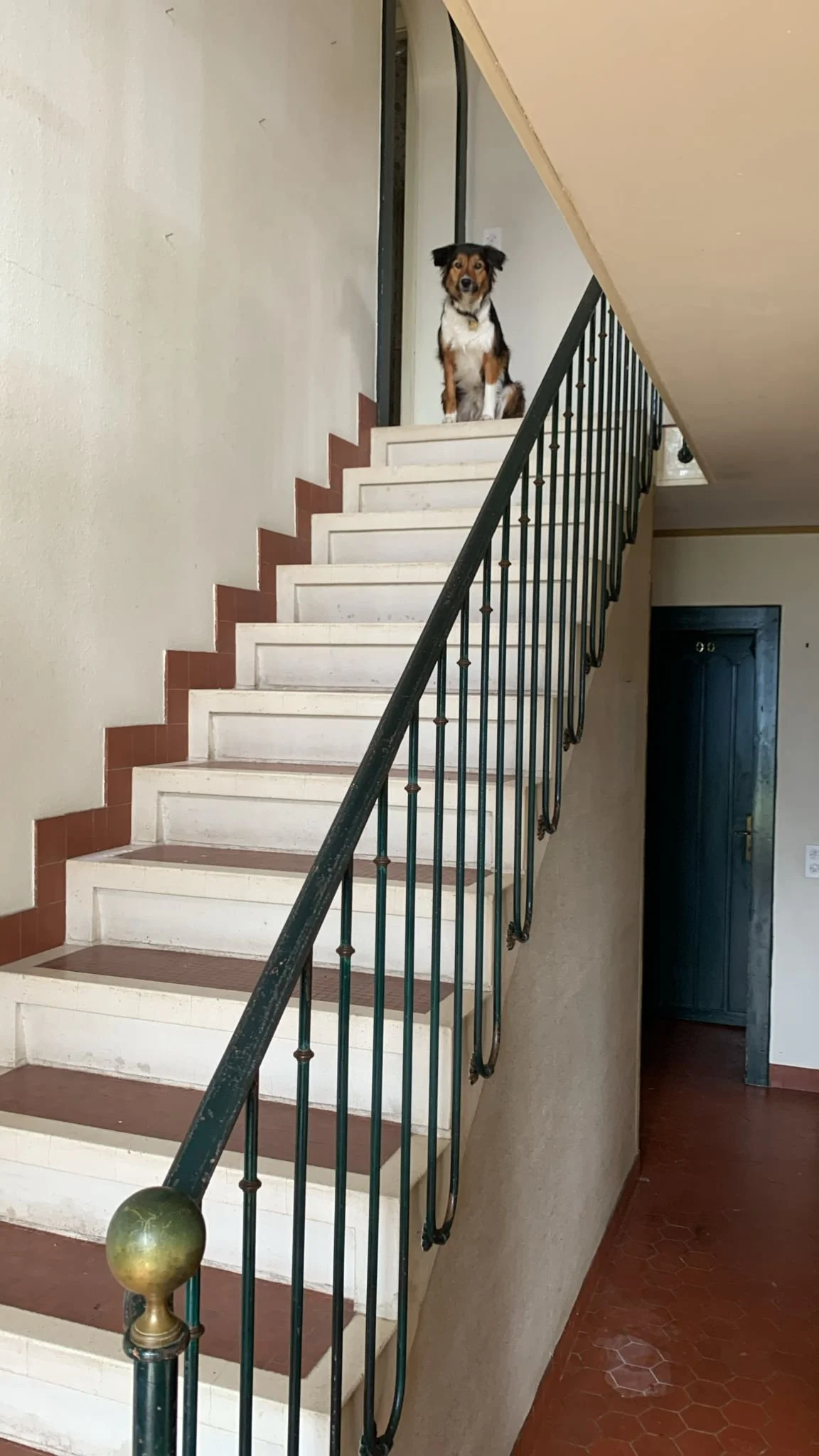 ce5bc618-ce37-4fff-aeb4-7a9ad245b339.JPG
