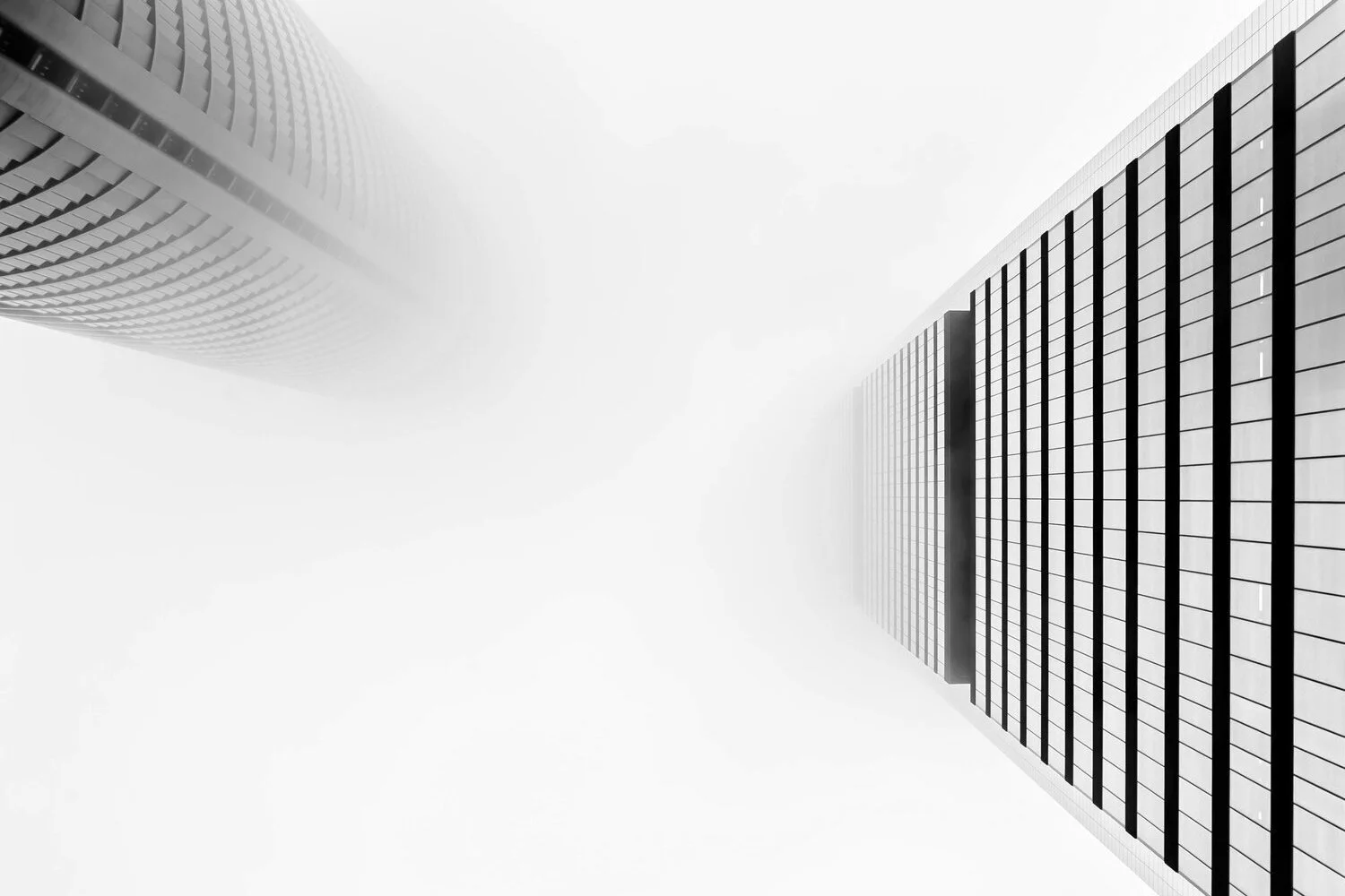 image-asset.jpg