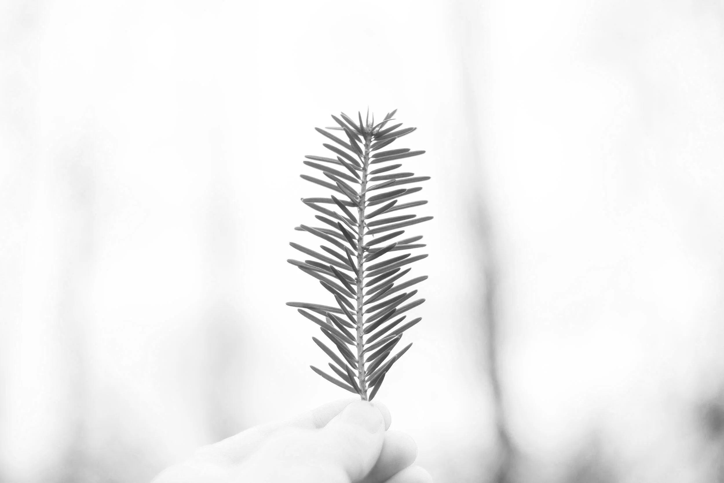 6. | Humbleness Is the Ultimate Self-confidence